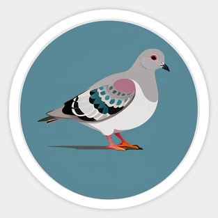 Pigeon Illustration - Cute lil bird Sticker